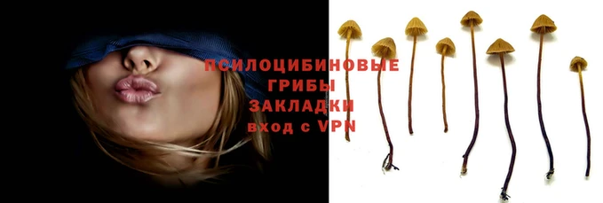 дмт Алзамай