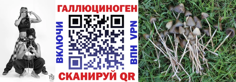 Галлюциногенные грибы Magic Shrooms  Купить где  Теберда 